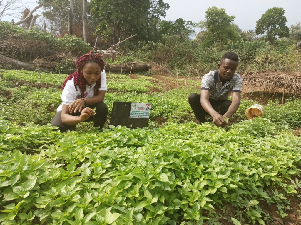 IMG_20220307_152609_630