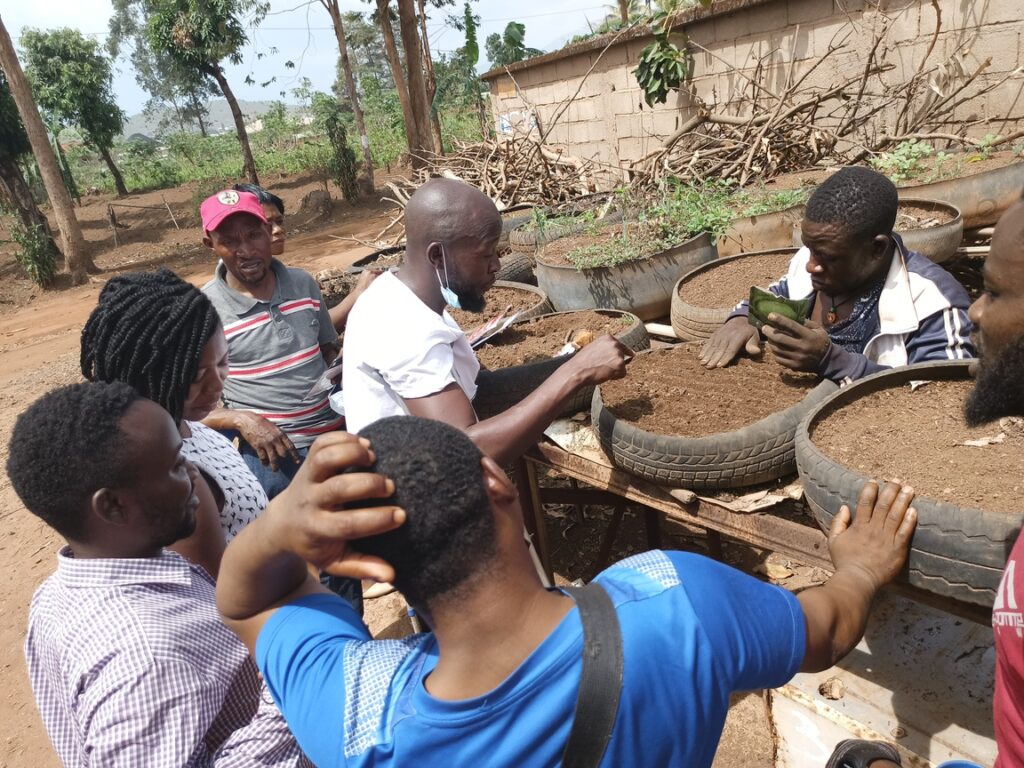 IMG_20220406_141215_888