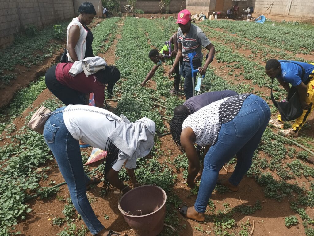 IMG_20220406_143243_371