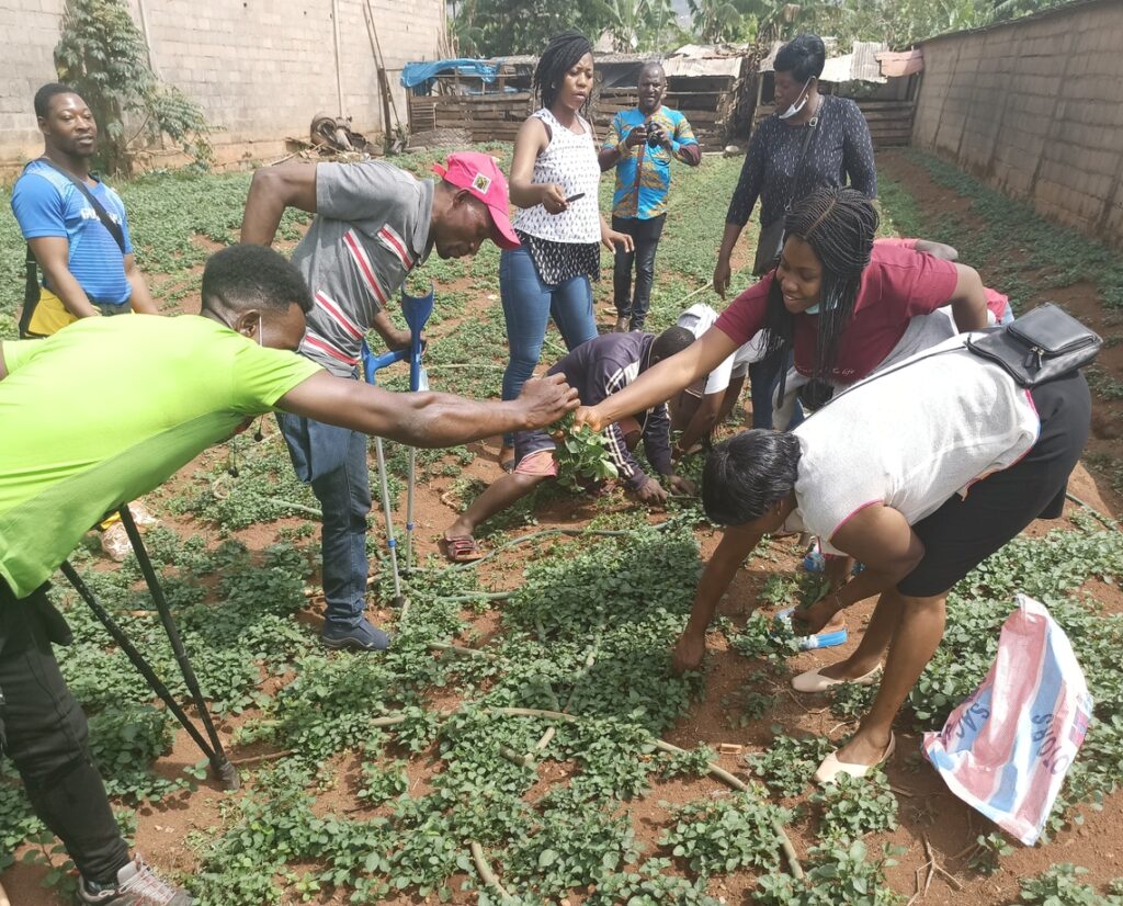 IMG_20220406_143353_933