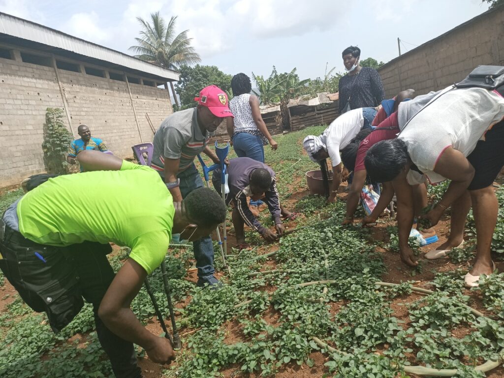 IMG_20220406_143409_730