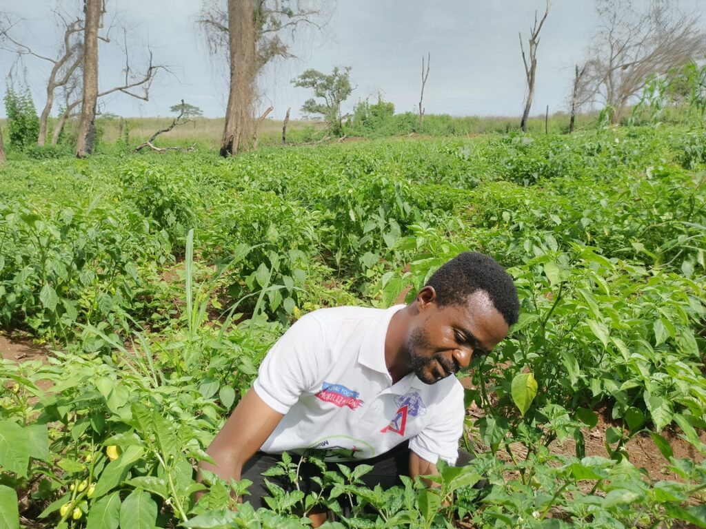 IMG_20220604_094116_757