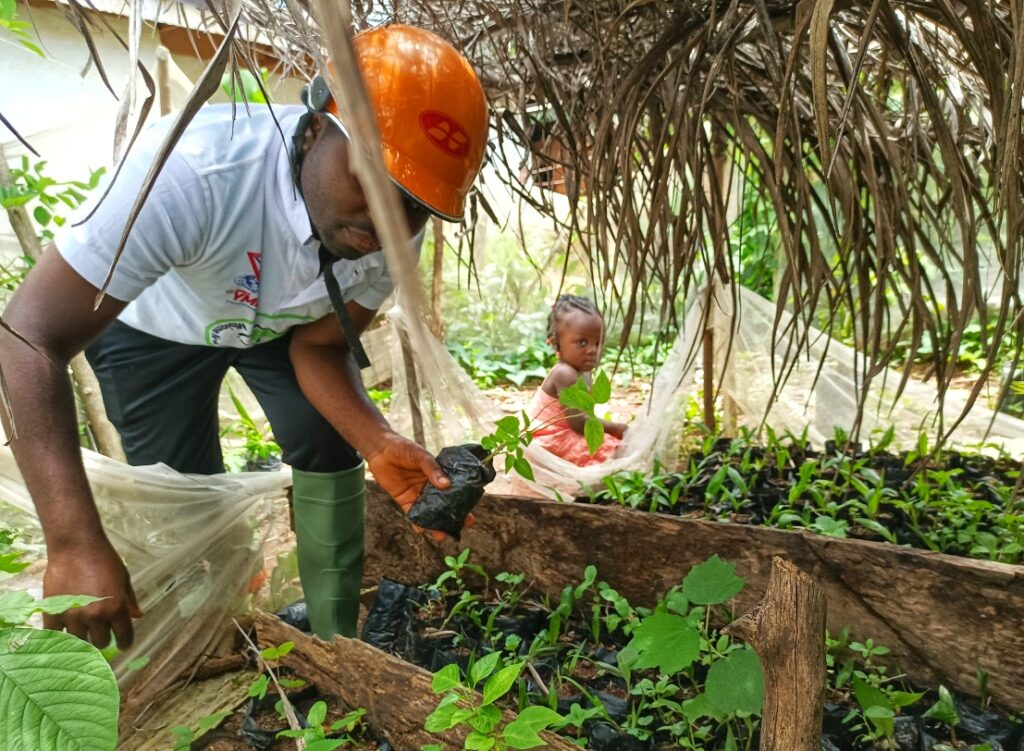 IMG_20220729_125653_908-01