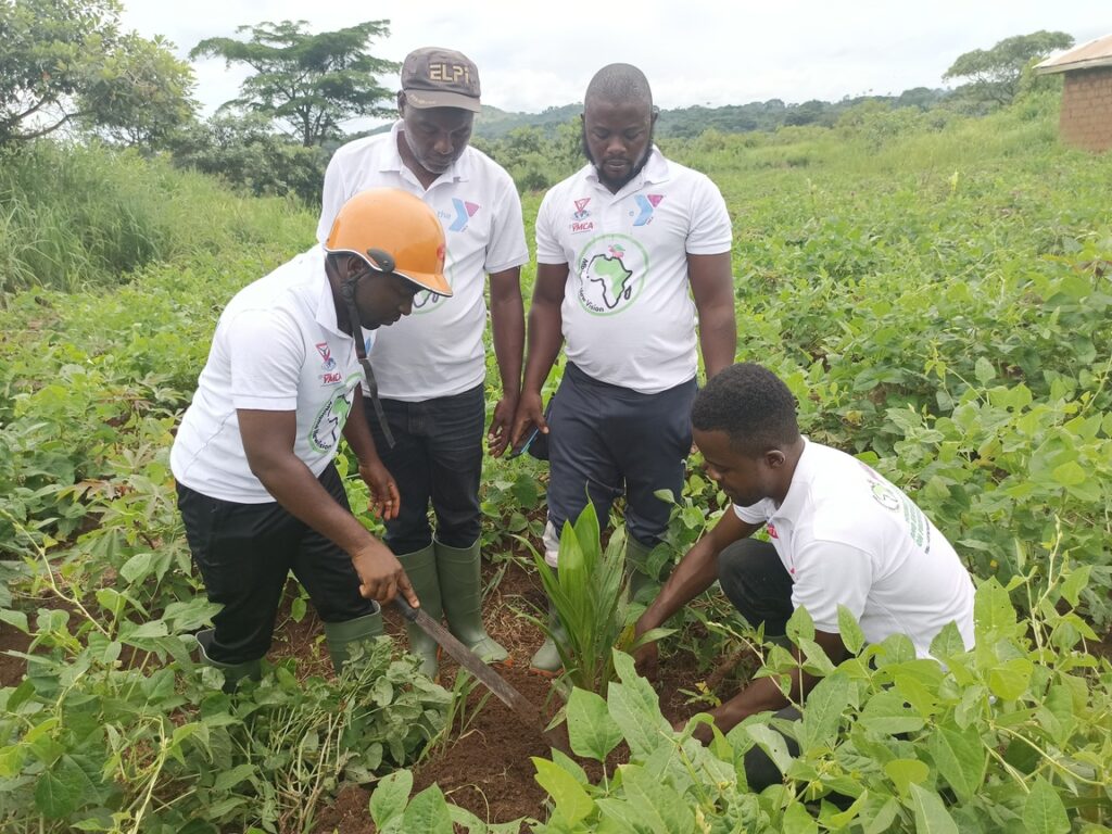 IMG_20220729_133124_120