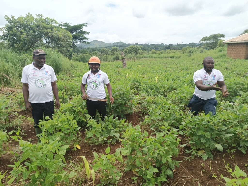 IMG_20220729_133256_331