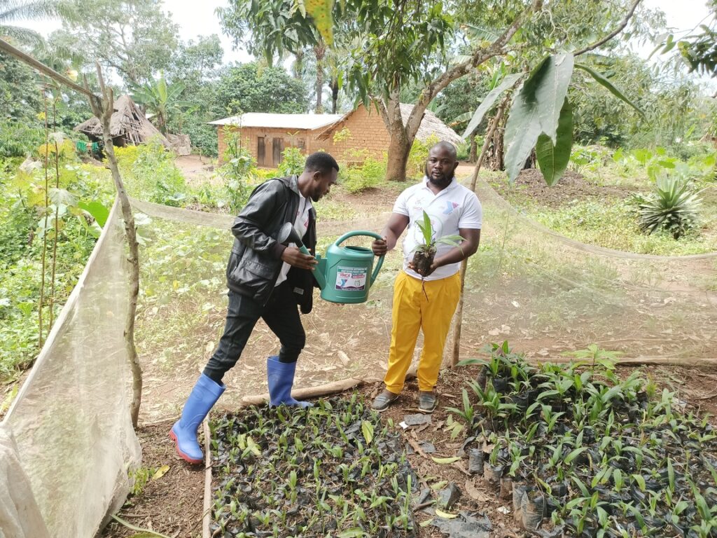 IMG_20221008_120111_734