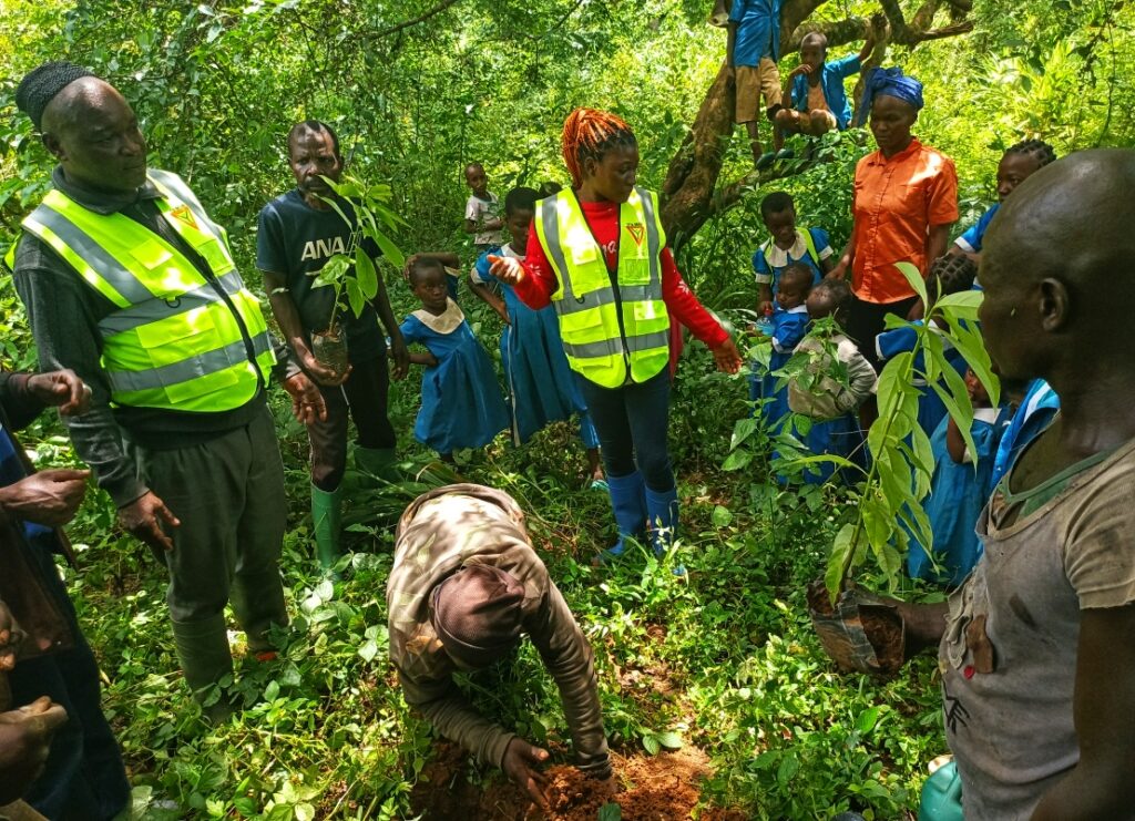 IMG_20230905_125429_685-01