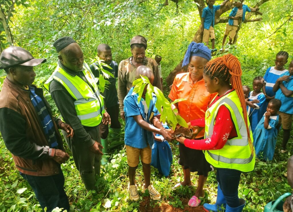 IMG_20230905_125454_621-01_3